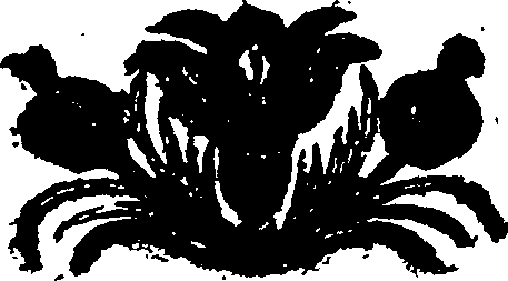 013/013350230000010_1.png