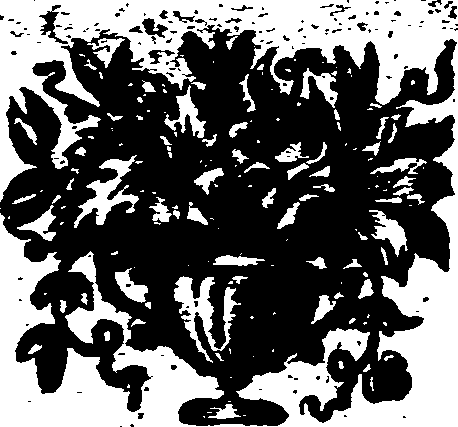 013/013350340000080_0.png