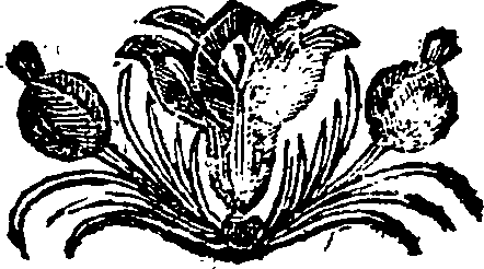 013/013350400000010_0.png
