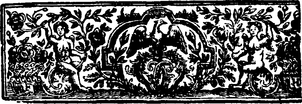 013/013370050000040_1.png