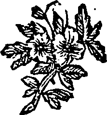 013/013410010300020_0.png