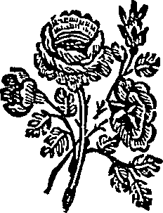013/013410010400020_0.png