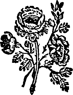 013/013410010500020_0.png