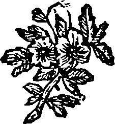013/013410010600020_0.png