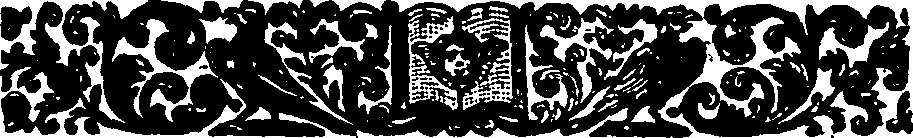 013/013520050001390_1.png