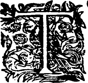 013/013520390000010_1.png
