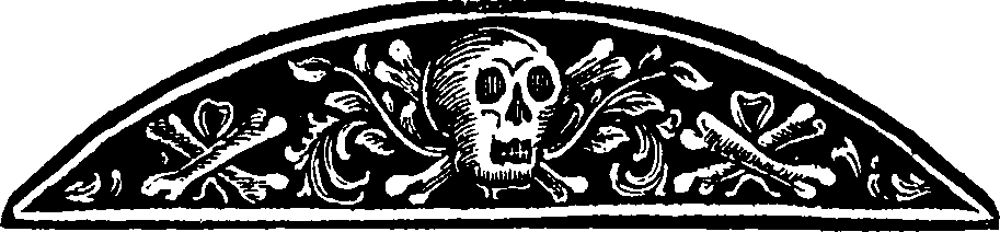 013/013590040000040_3.png