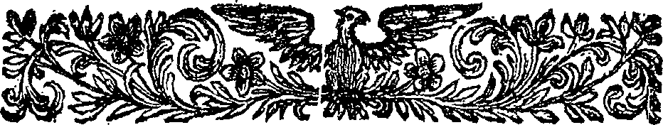 013/013630250000040_1.png