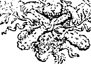 013/013750020100440_0.png