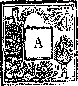 013/013980200000050_0.png