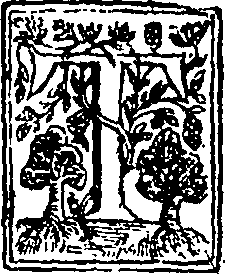 014/014250200000020_0.png
