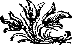 014/014610050000350_0.png