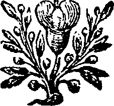 014/014650010000010_0.png