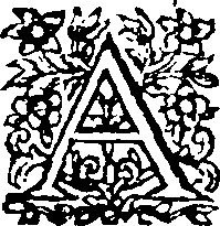 014/014740060202620_0.png