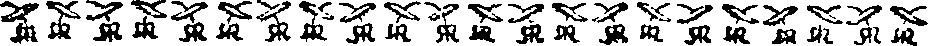 014/014740070000010_0.png