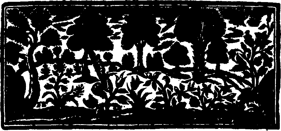 014/014870020000020_0.png