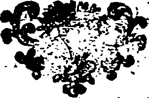 014/014960060000310_0.png