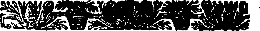 015/015010240000020_0.png