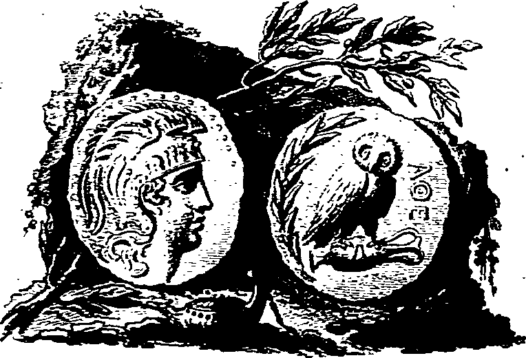 015/015030010202020_0.png