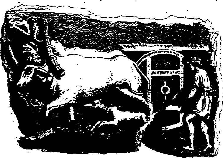 015/015030010203780_0.png