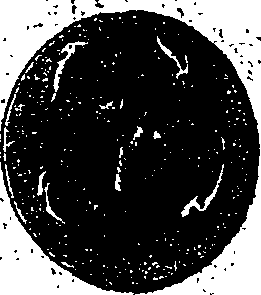 015/015030010400940_0.png