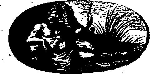 015/015030010401270_0.png