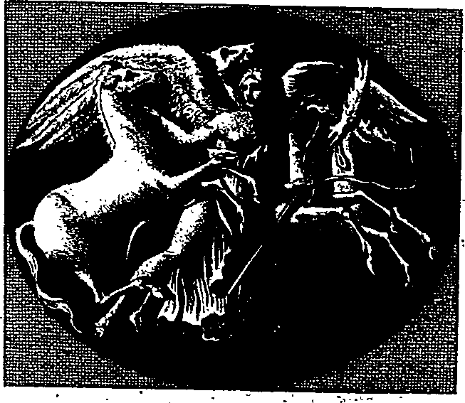 015/015030010702160_0.png