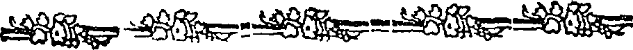 015/015060010101880_0.png