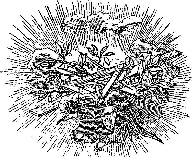 015/015060010600020_1.png