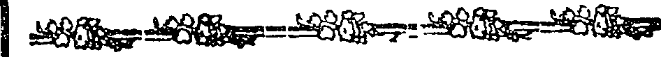 015/015060010602440_0.png