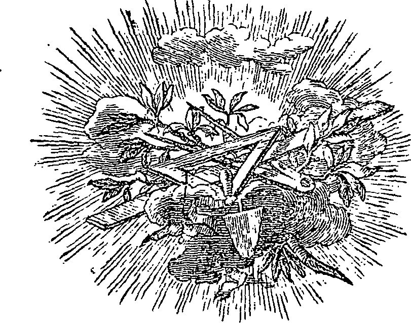 015/015060010700020_0.png