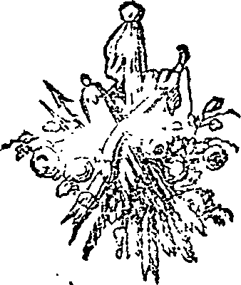 015/015060010704070_0.png