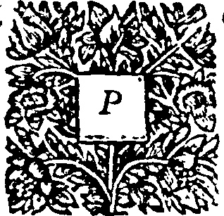 015/015110470000040_1.png
