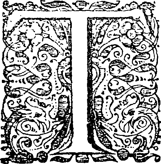 015/015190020003250_1.png