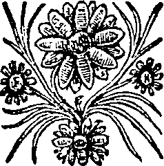 015/015290230000460_0.png