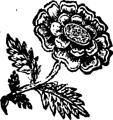 015/015310110000200_0.png