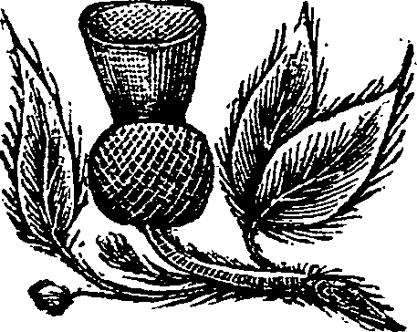 015/015370210000010_0.png