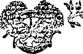 015/015390020102540_0.png