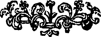 015/015390020602670_0.png