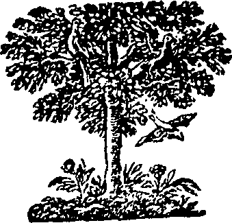 015/015390020603540_0.png