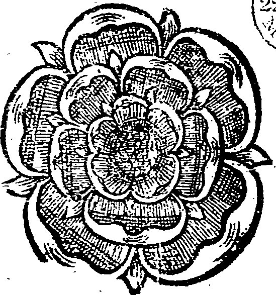 015/015410230000080_0.png