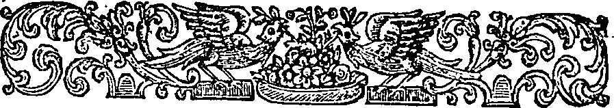 015/015460260001000_1.png