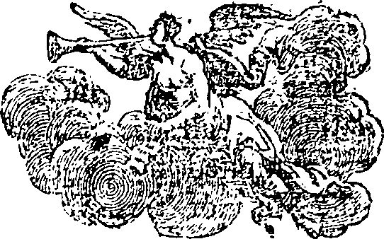 015/015470010100800_0.png