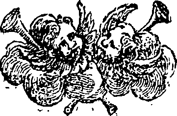 015/015470010302540_0.png