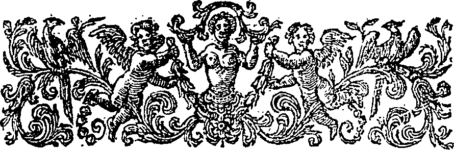 015/015470010503880_1.png