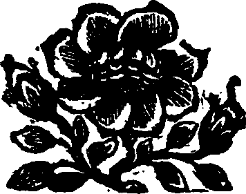 015/015580310000010_1.png