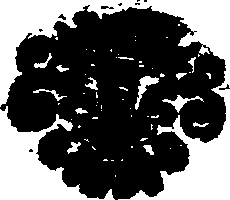 015/015610070000010_1.png