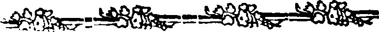 015/015640020001920_0.png
