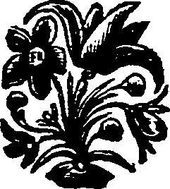 015/015750240000450_0.png