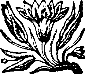 015/015750240000750_0.png